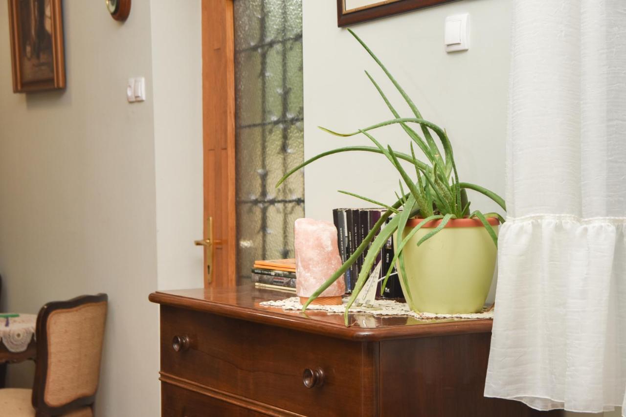 Apartman Woolf Senta 외부 사진